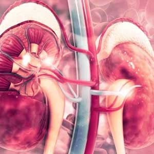 Chronic kidney disease Treatment in Vijayawada